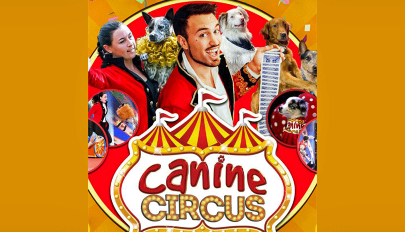 The Canine Circus