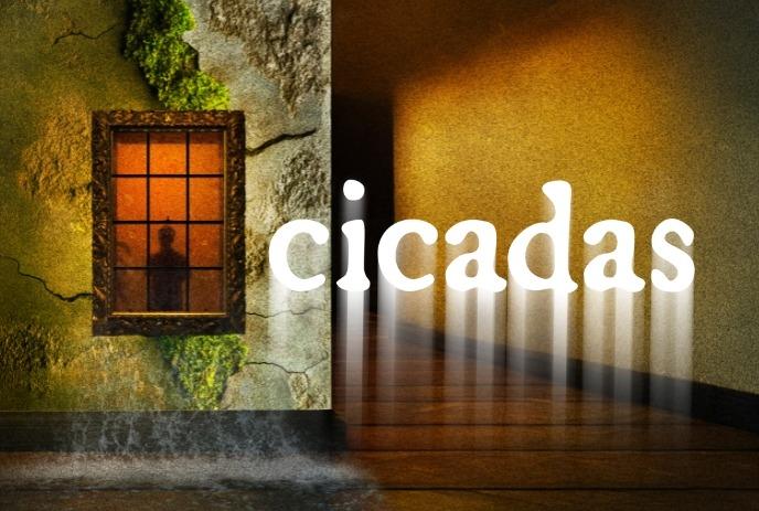 Silhouette of a person standing behind a warmly lit window set into a cracked textured wall.