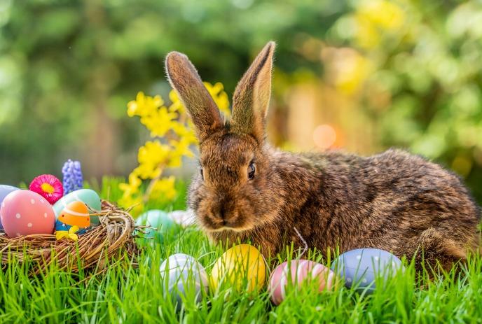 A brown rabbit sitting in lush green grass next to a nest of Easter eggs, with flowers and greenery in the background.