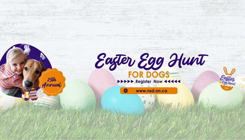 Easter Egg Hunt for Dogs
