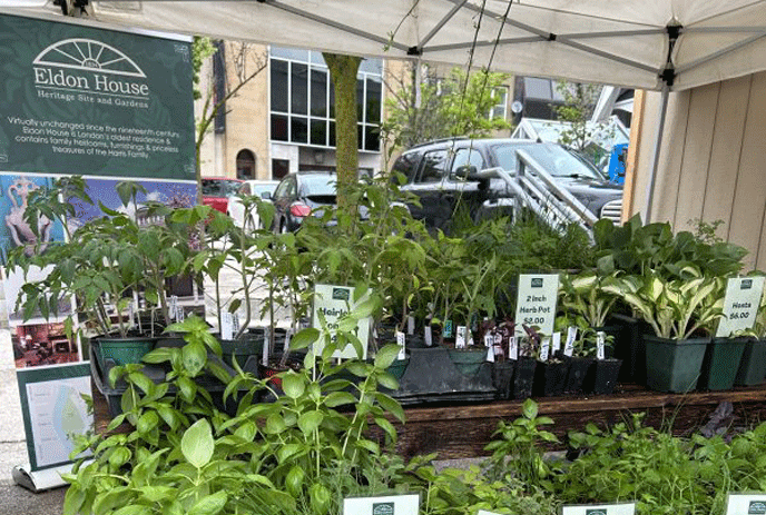 Variety of plants for sale at an Eldon House garden event.
