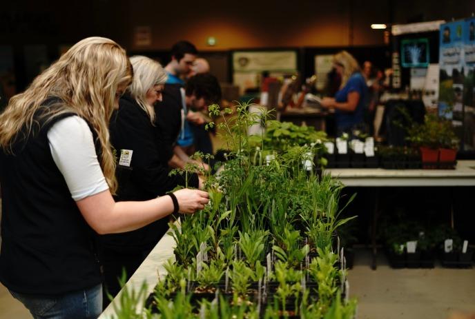 A person in a black vest  tends to various potted plants displayed on a table at an indoor plant sale.