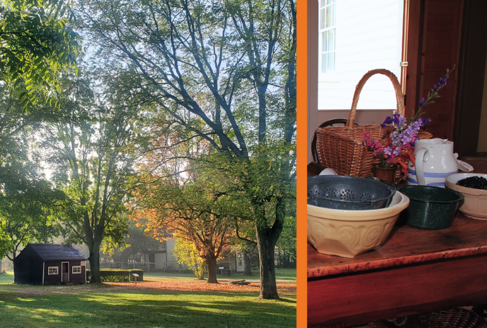 Two images left show a dark shed in sunlit autumn woods: right, a rustic table with ceramics, flowers, and berries.