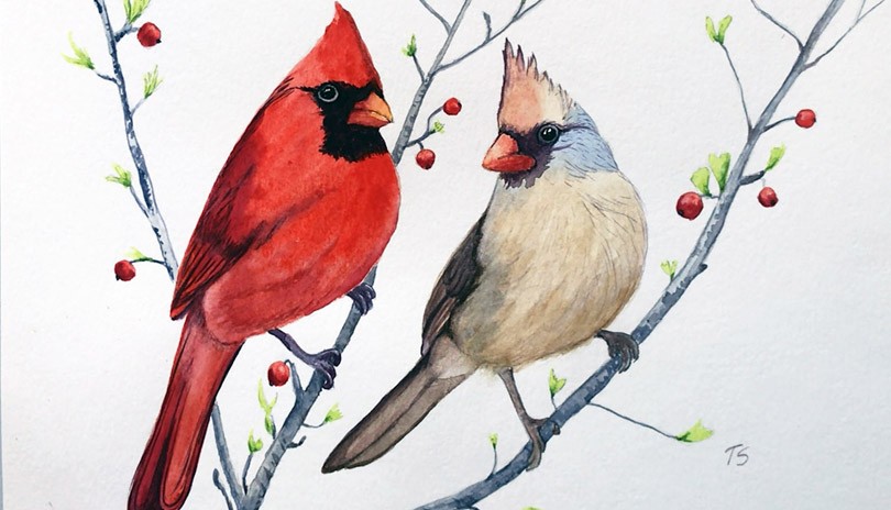 Watercolour Art Class - Cardinals