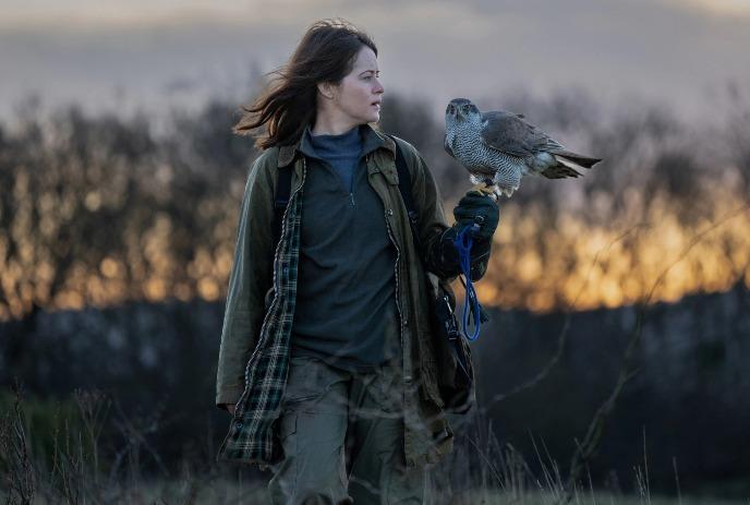 Person in outdoor gear holding a Hawk at sunset along with trees in the background,