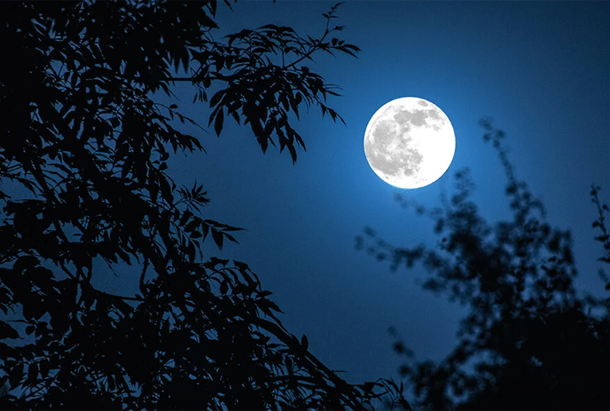 Halloween Lunar Bliss