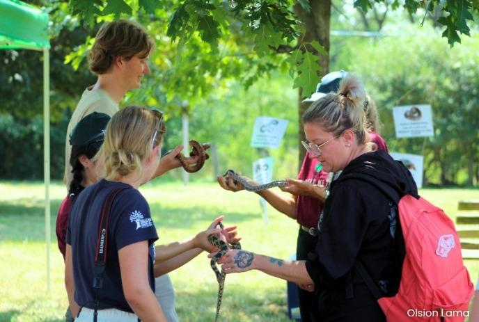 Group outdoors under tree holding snakes during wildlife activity.