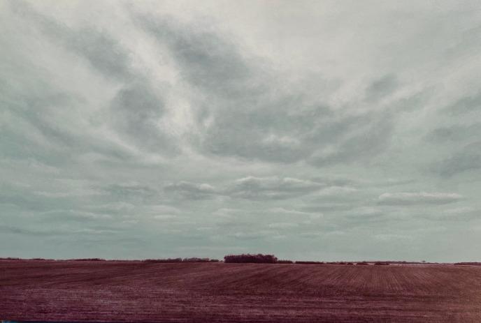 Wide flat field under heavy layered clouds with a small cluster of trees near the distant horizon.