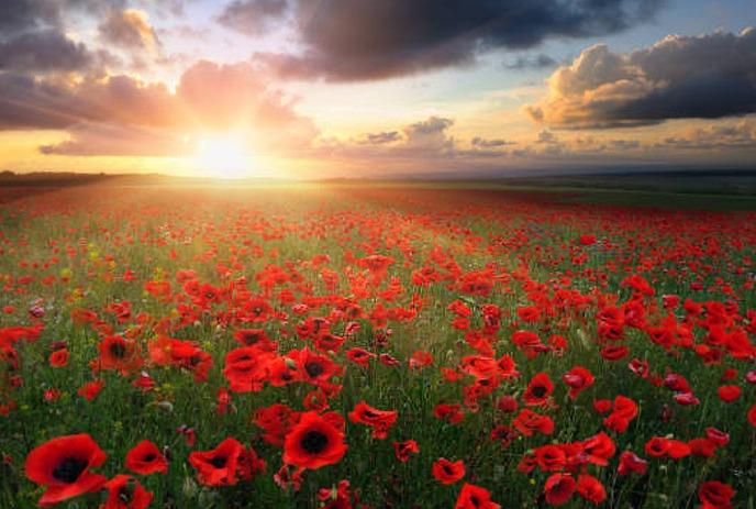 Ray of light spreading into a red and black background.