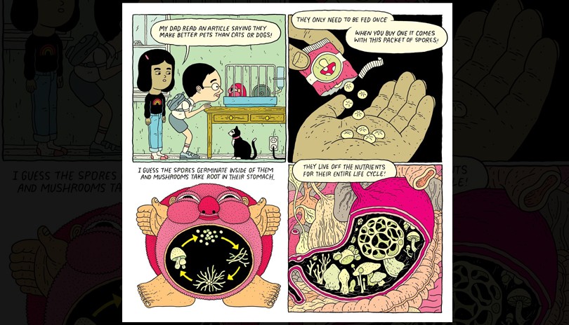 Jesse Jacobs Illustration Workshop
