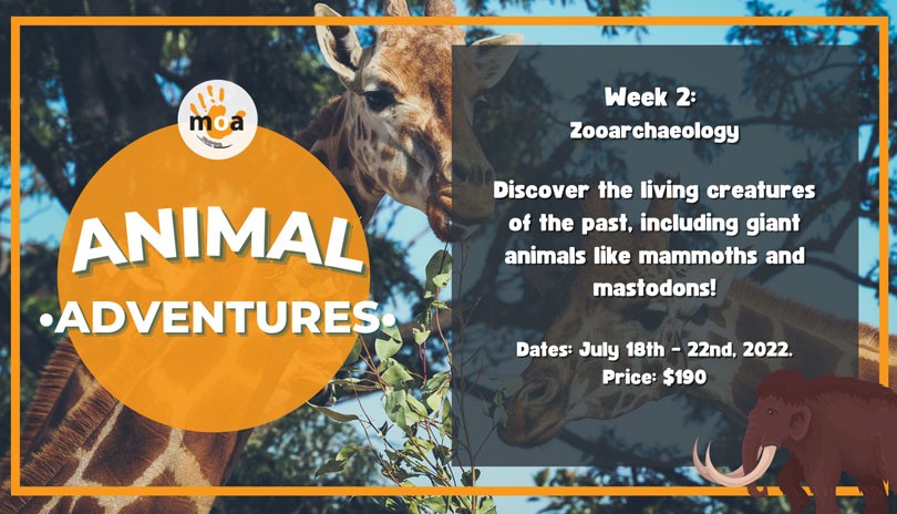 Week 2: Animal Adventures - Zooarchaeology