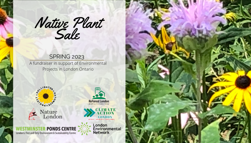 Native Plant Sale