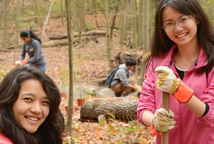Various students planting young trees in a forest