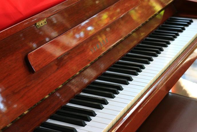 Close-up of piano keys on a glossy wooden surface, highlighting musical elegance.
