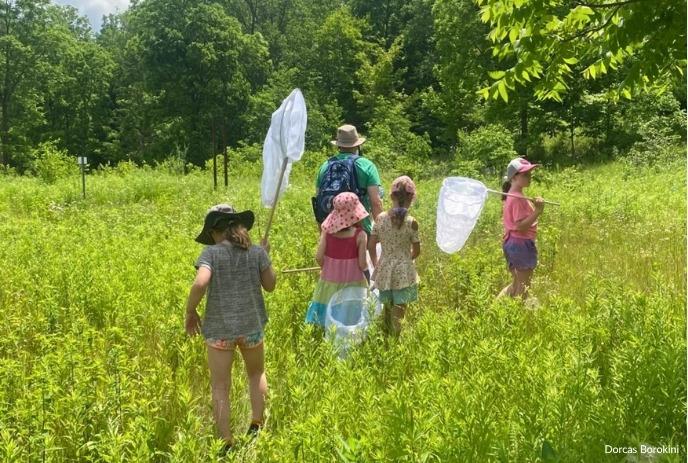 A group of kids and an adult walk in a green meadow with trees carrying nets on a bright sunny day.
