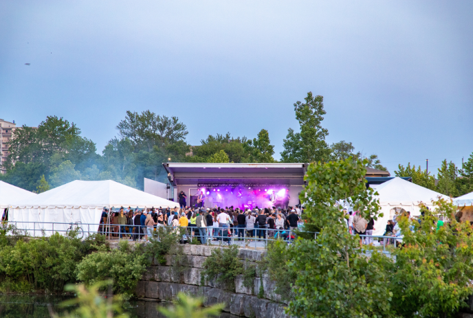 Outdoor concert scene at dusk with a vibrant crowd gathered around a stage emitting purple lights.