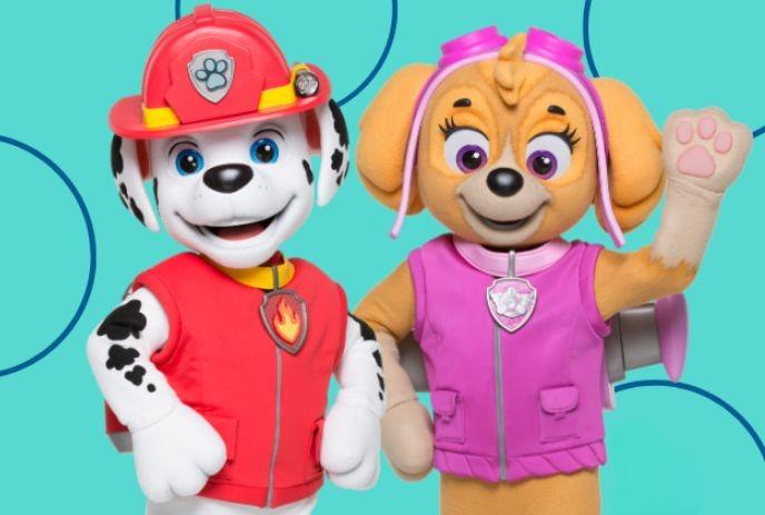 Two costumed pups Marshall and Skye stand smiling in bright outfits against teal backdrop with soft circular patterns.