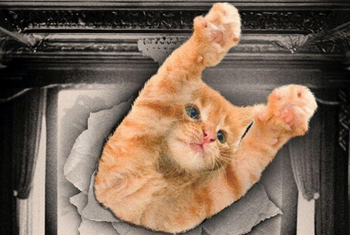 Orange kitten bursts through torn paper with paws raised before ornate framed backdrop.