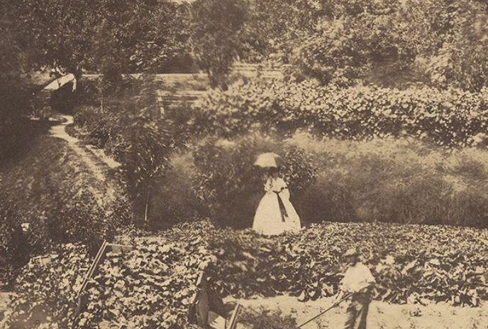 Old garden scene shows workers among terraced plants as figure with parasol stands on path.