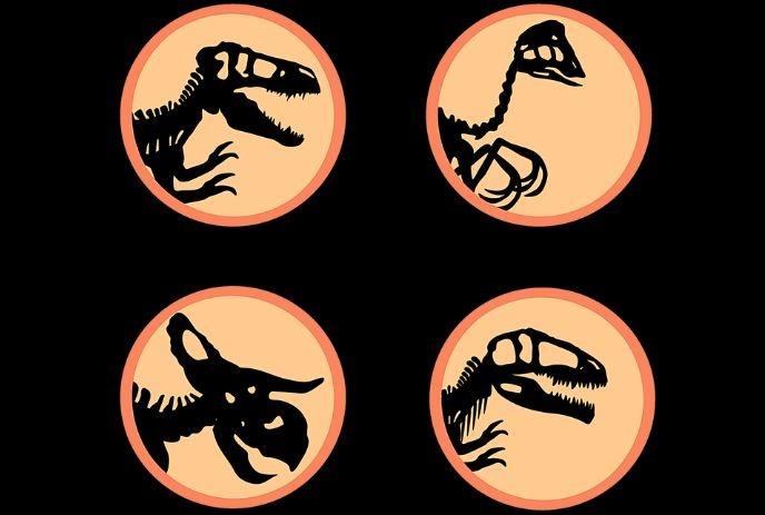 Four orange circles each showing black dinosaur skeleton icons including rex raptor triceratops in stylized form.