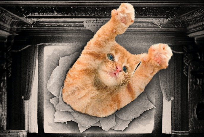Orange tabby cat busting through torn paper in an ornate room, paws raised, eyes wide playful surprise!