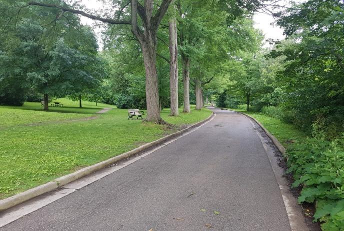 A path in Springbank Park, London Ontario.