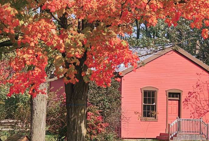 A pink house with a small porch stands beneath a tree with vibrant red autumn leaves.