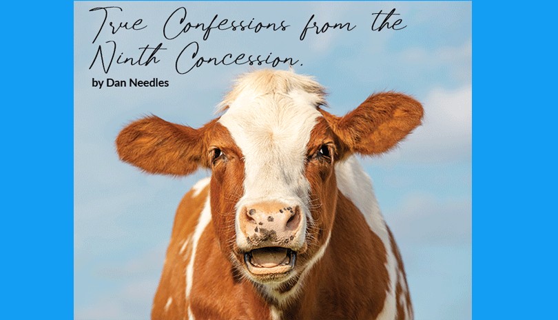 True Confessions from the Ninth Concession