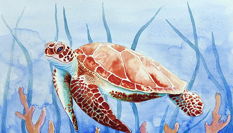 Watercolour Art Class - Turtle