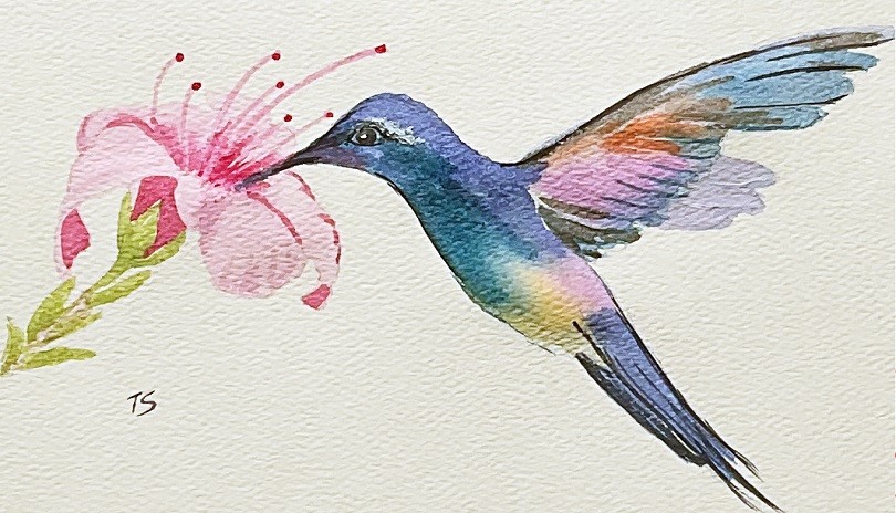 Watercolour Art Class - Hummingbird