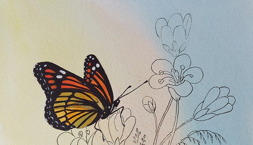 Watercolour Art Class - Monarch Butterflies