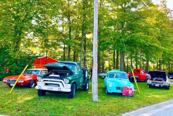 A collection of vintage cars and trucks, parked on a grassy area with trees in the background.