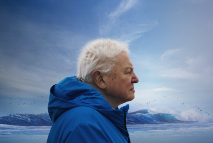 Side profile of David Attenborough with the ocean in the background.
