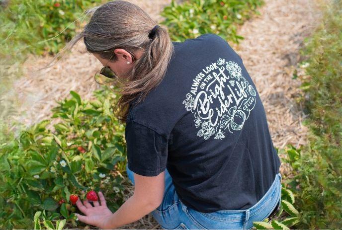 A women picking strawberries wearing a black t shirt and blue denim jeans.