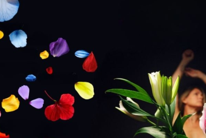 A person with raised arms stands beside a lily plant, surrounded by colorful floating petals on a dark background.