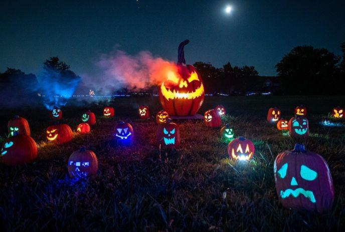 Spooky pumpkins glowing on a misty field under moonlight, creating a festive Halloween night scene.