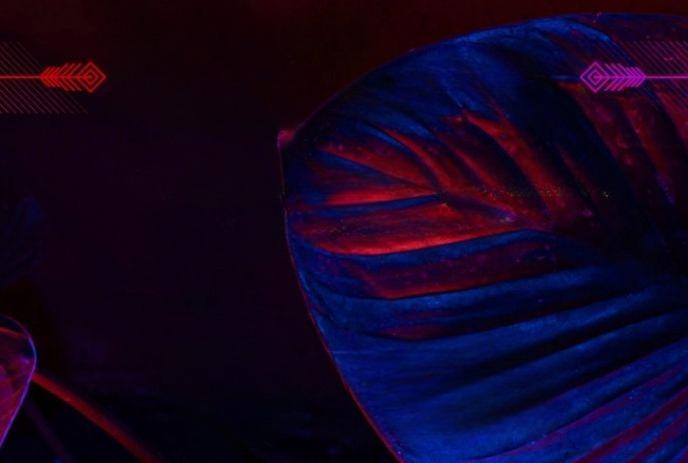 Leaf glows in red and blue tones, veins sharp, framed by digital arrows on a dark.