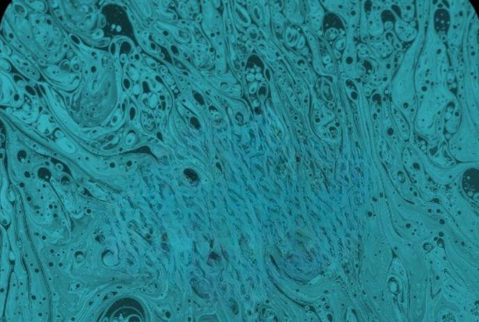 Year 6 Records Presents: Xae DC, Los Freakies, YOBI