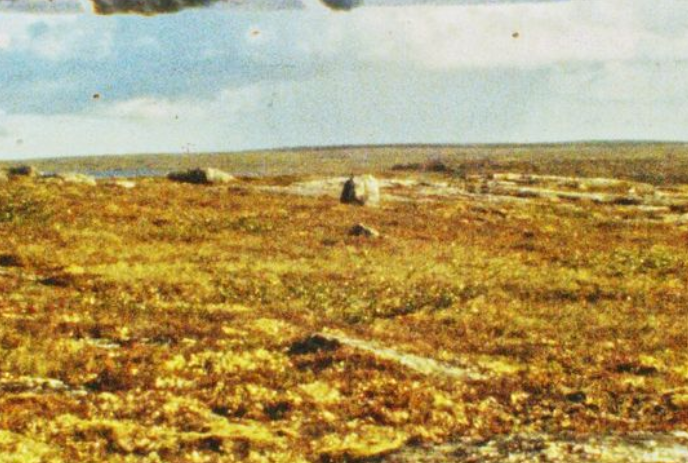 Grainy image of a barren field on a cloudy day.