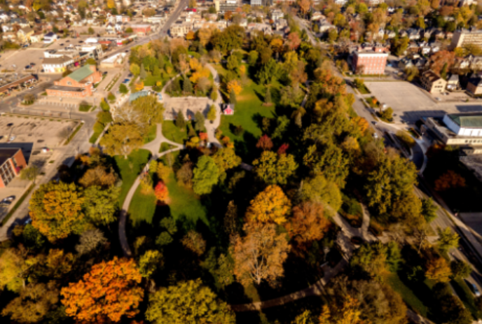 Bird's eye view from City Hall over Victoria Park showing the leaves on the trees in many different colours.