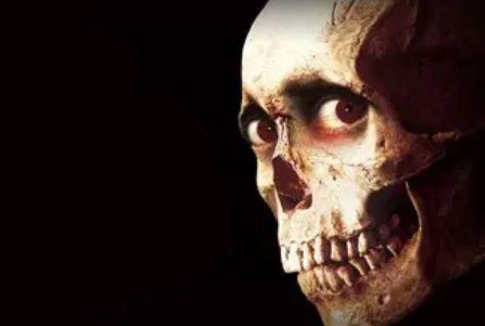 A Skeleton face looking towards forward.