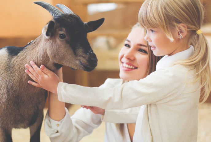 Young girl and an adult petting a small goat.