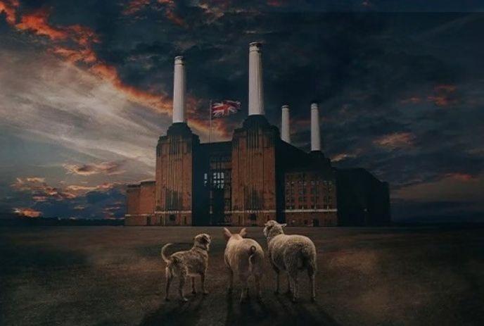 A dog, a pig, and a sheep facing a towering building, under dramatic skies and a distant flag.