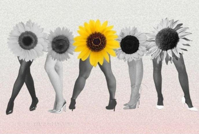 Artistic collage of sunflower heads on human legs, featuring one bright yellow bloom among grayscale flowers.