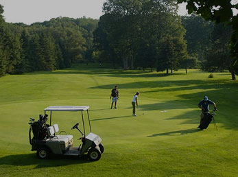 golfers on a putting green