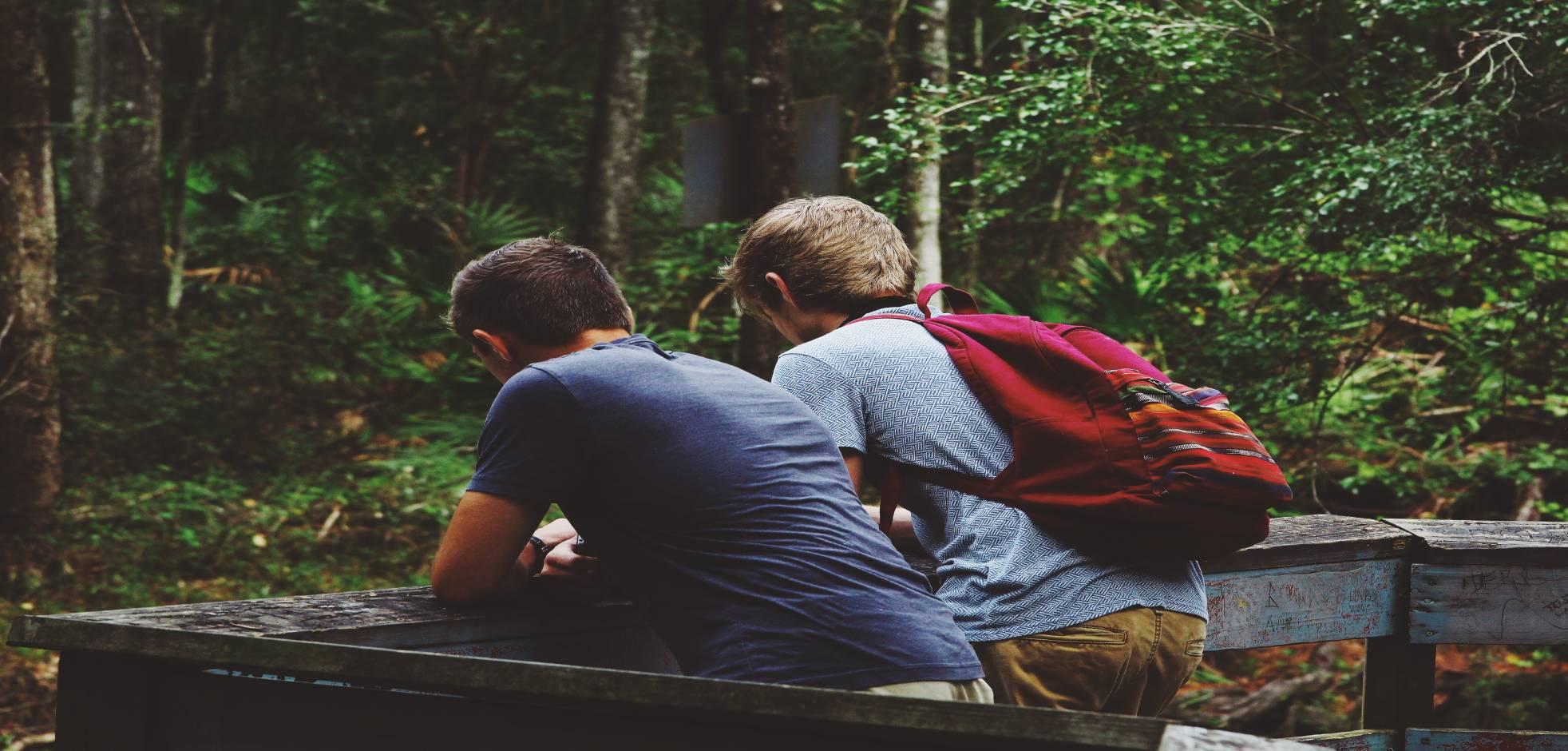 Two young boys looking down from a wooden landing into Warbler Woods