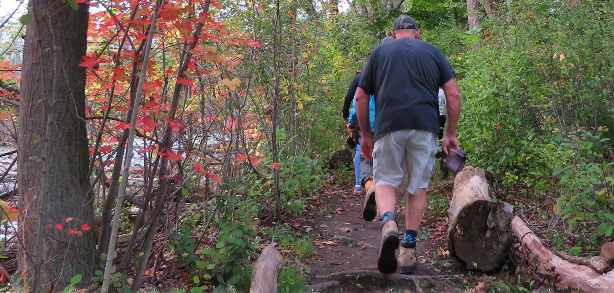 A group of people hiking in a wooded area on a path in Westminster Ponds/Pond Mills