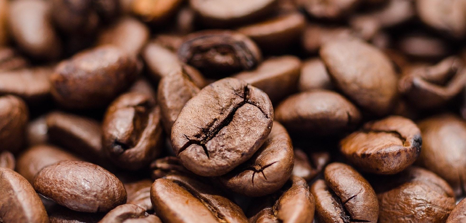 Close-up image of coffee beans