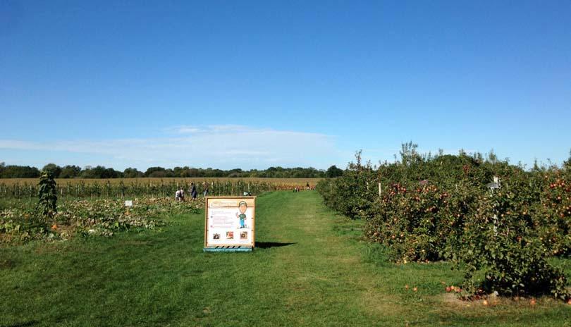 Great-Lakes-Farms1