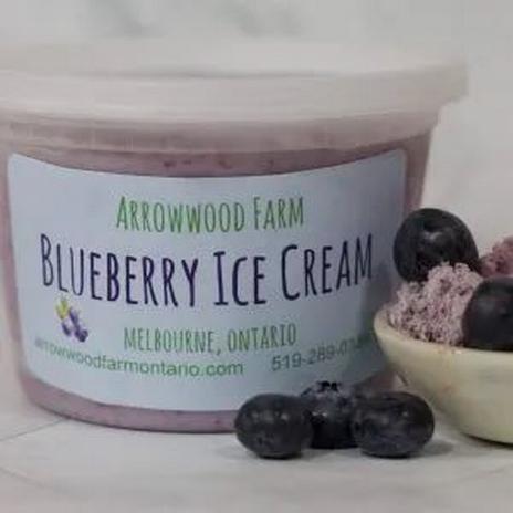 blueberry-ice-cream